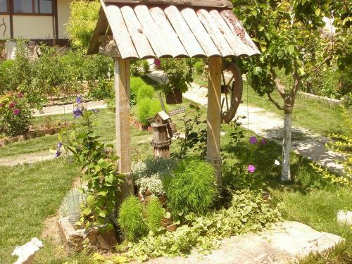 Hostal Guest House Petrova