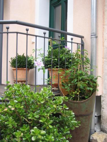 Apartamento Alte Backstube - Ferienwohnung & Appartement