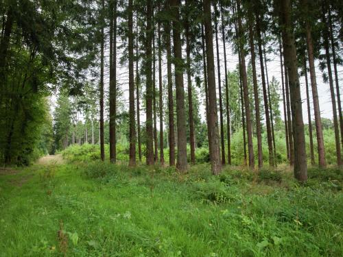 Spacious Holiday Home In Kappel Germany With Garden