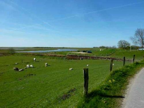 Apartamento Seewolke Nr. 1 Und Nr. 2 Katingsiel