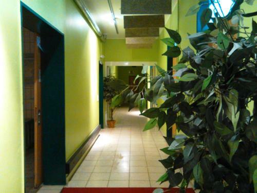 Albergue Penthouse Backpackers