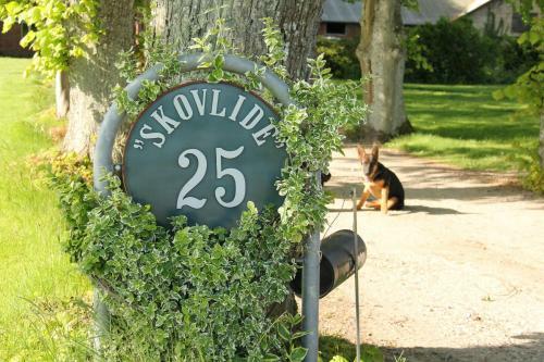 Bed & Breakfast Skovlide Beautiful Farmhouse