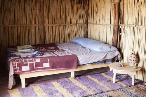 Bivouac Tamgroute