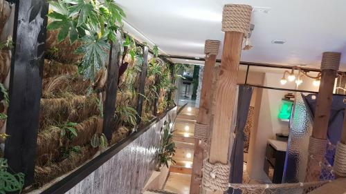 Apartamento Appartement Spas Racine De Pierre