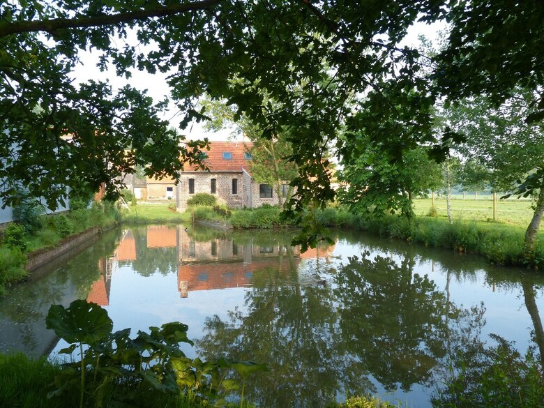Bed & Breakfast Paardenhof Guesthouse