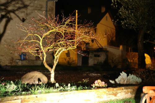 Bed & Breakfast La Bigourd'in
