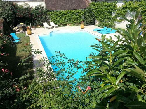 Tourterelle, � Proximit� De Auxerre Et Chablis