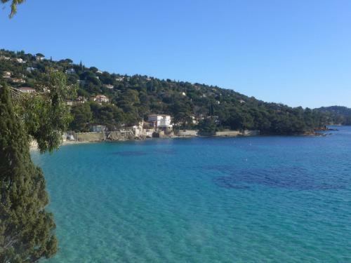 Apartment Les Roches