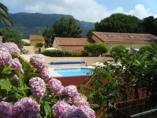 Apartamento Le Clos Fleuri ? N�9 La Perle Du Lavandou