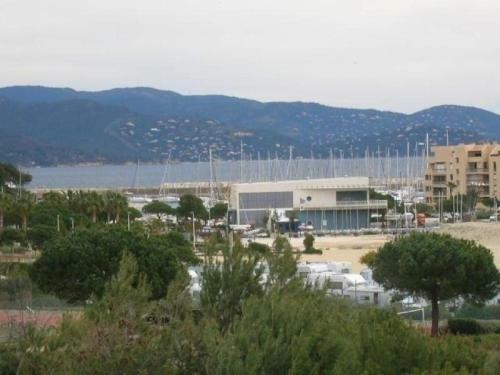 Apartment Les Palmiers