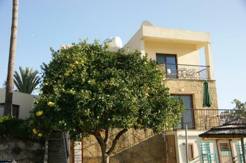 Hostal George Houses