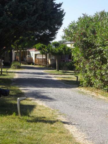 Camping L'olivier