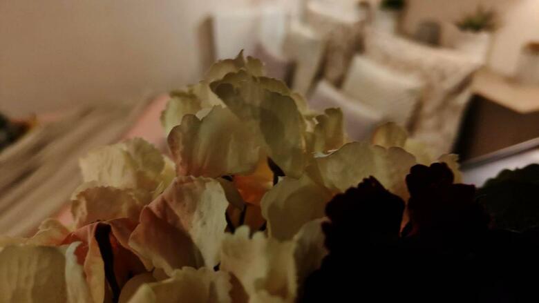Bed & Breakfast Chambres D'h�tes Les R�ves D'�glantine