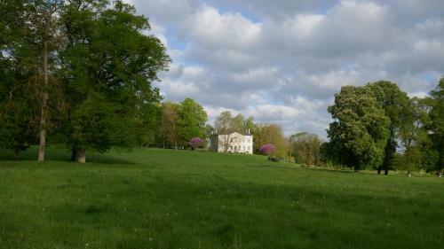 Bed & Breakfast Chambres D'h�tes Au Ch�teau de Preuil