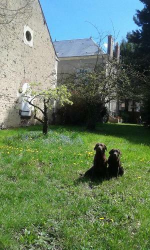 Bed & Breakfast La Sauldre