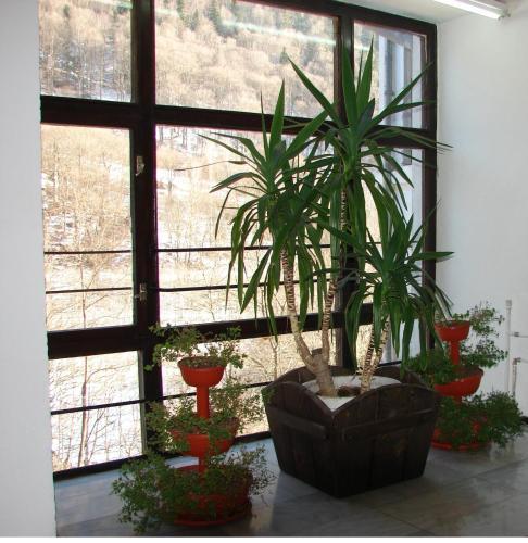 Hotel Tzarev Vrah