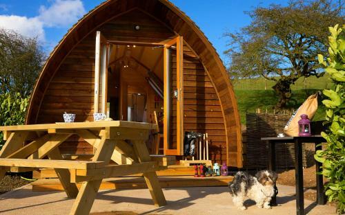 Humble Bee Farm Glamping