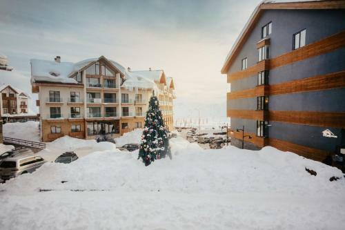 Beautiful Apart-hotel Studio In New Gudauri Suites