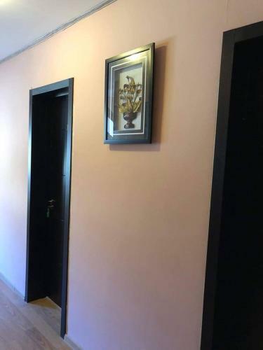Hostal Hotel Data