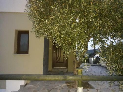 Villa Oliva