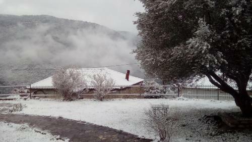 Hostal Theoni's House