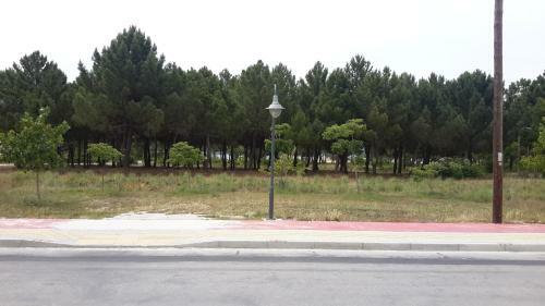 Irini Apartments