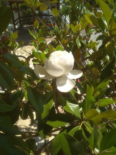 Apartamento Vila Manthos