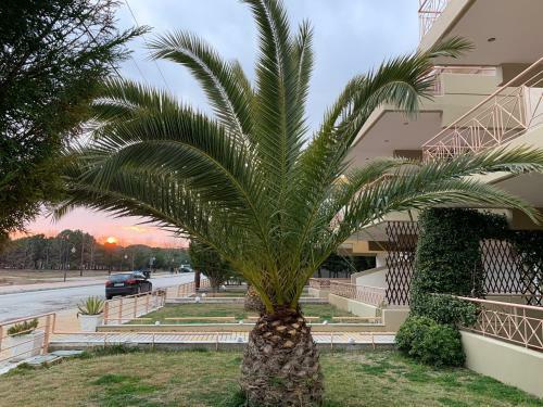 Sunrise Apartments