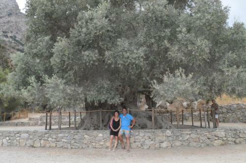 Hotel Tholos Rooms
