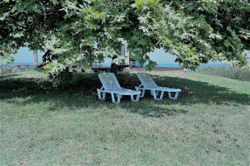 Sea Breeze Apartment
