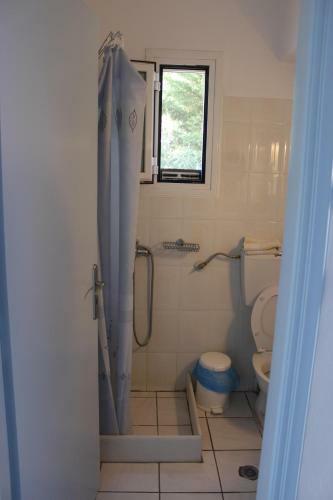 Apartamento Alvi Studios
