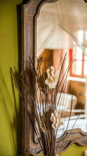 Hostal Pinocchio Mikro Papigo