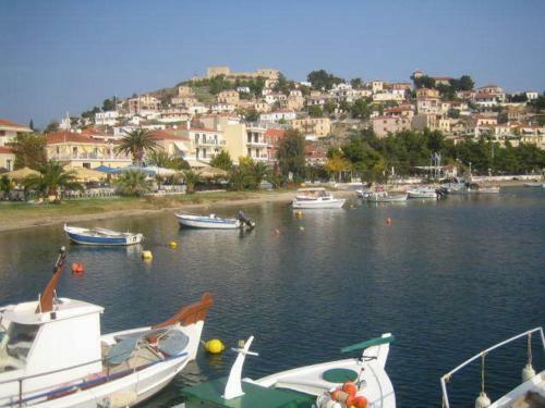 85 M� Apartments New Panorama (under New Management)