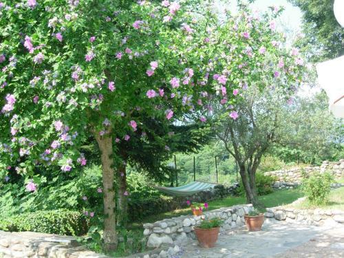 Hotel Villa Anthemia