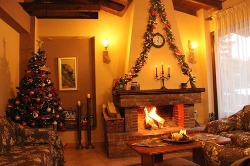 Hotel Villa Anthemia