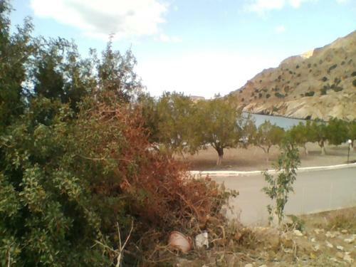 Apartamento Apollon