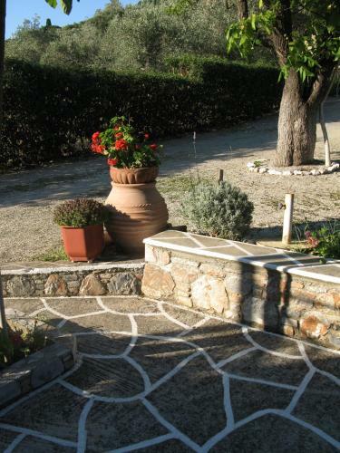 Apartamento Alexandra Sofia