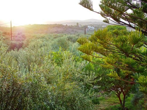 Apartamento Lena Mare