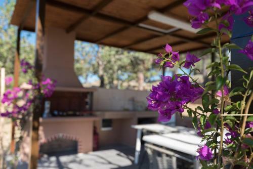 Apartamento Aventura Village