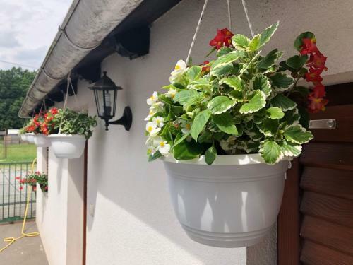 Bed & Breakfast Sobe Glava?