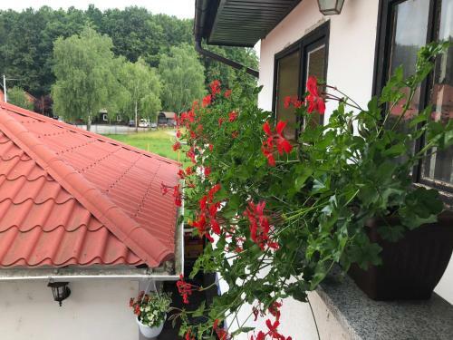 Bed & Breakfast Sobe Glava?