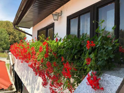 Bed & Breakfast Sobe Glava?