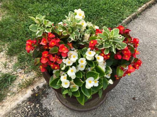 Bed & Breakfast Sobe Glava?