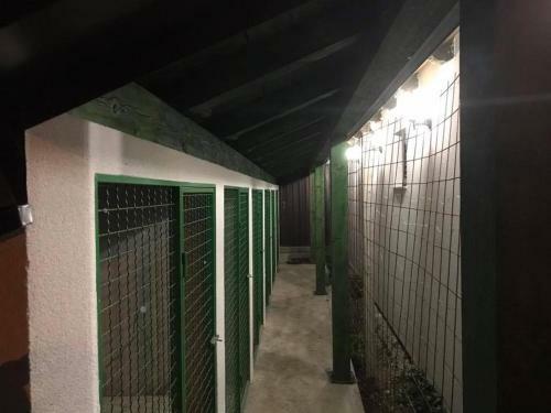 Bed & Breakfast Sobe Glava?