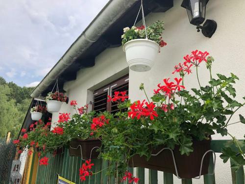 Bed & Breakfast Sobe Glava?