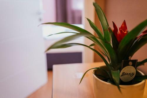 Hostal Guest House Sv. Nikola