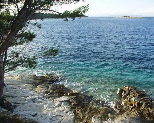Apartments By The Sea Pomena, Mljet - 10426