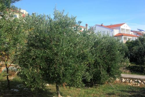 Apartamentos Studio Novalja 9326b