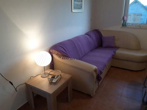 Apartment Sucic