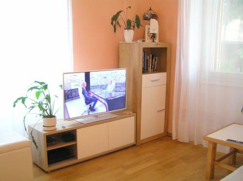 Apartment Harmony